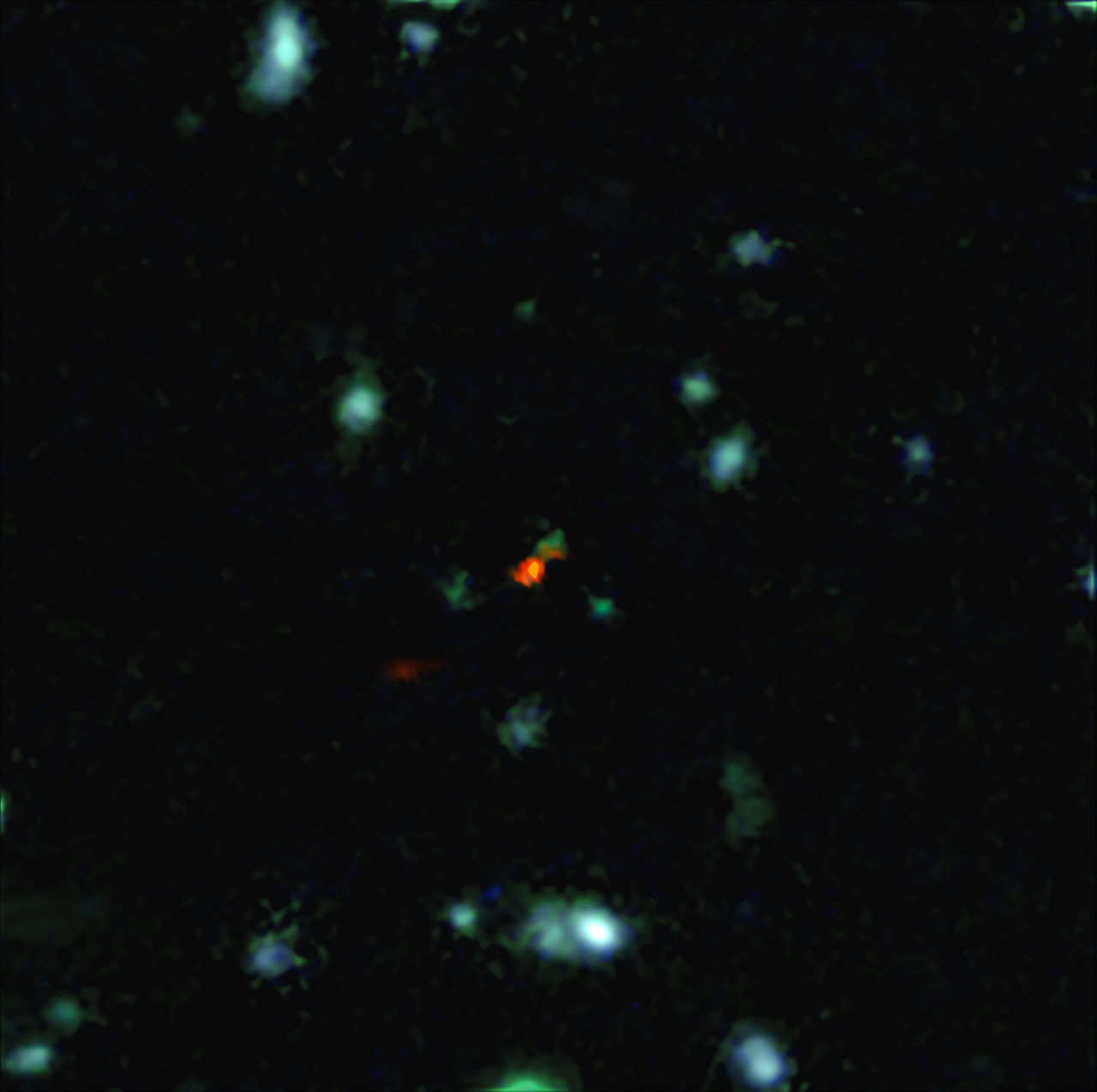 This Lopsided Ancient Galaxy Is the 1st View of Early Galactic Assembly